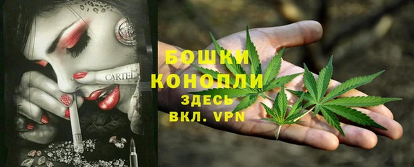 хмурый Сатка